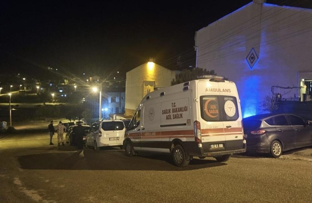 Şehit ateşi Balıkesir’e düştü Gürcistan sınırında askeri kargo uçağının düşmesi sonucu şehit olan Hava