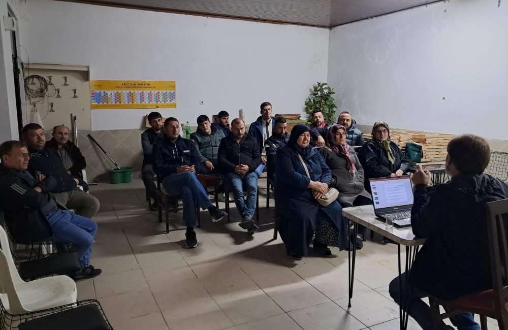 Edremit de Bal Ormanı arıcılığa destek olacak Edremit’te, 3 yıl önce 206 hektarlık alanda hayata geçirilen Türkiye’nin