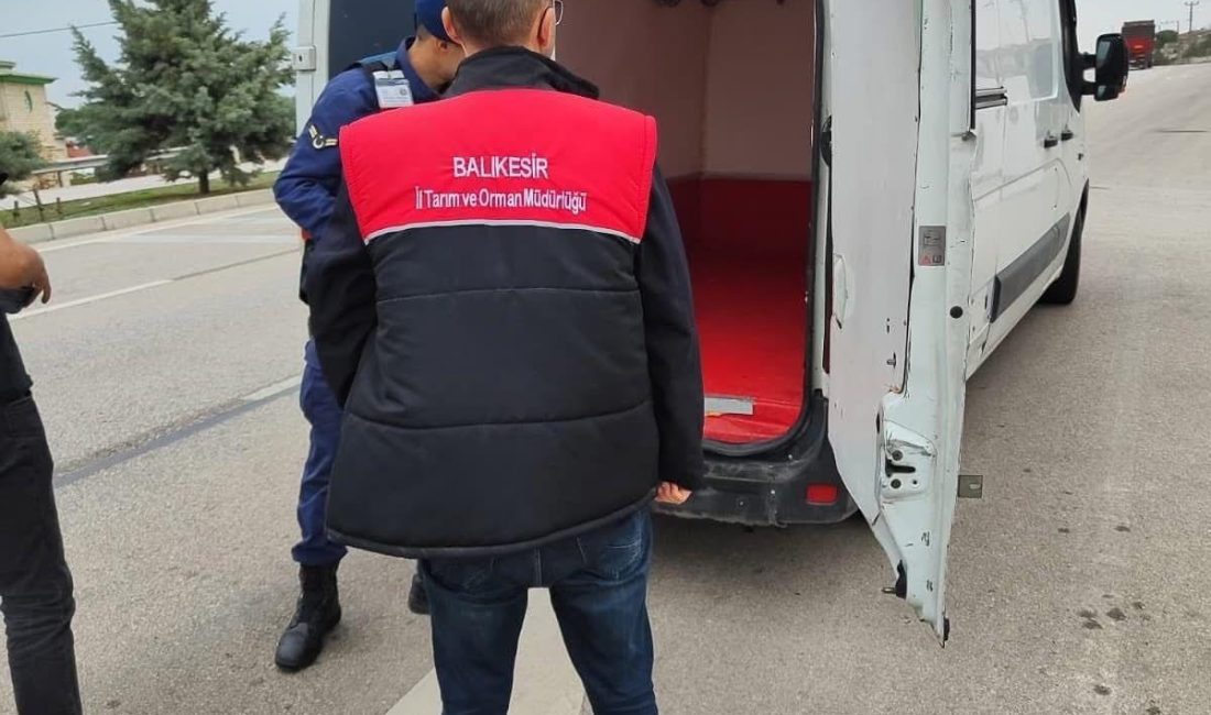 Gönen’de çevre illerde görülen şap hastalığı vakaları nedeniyle denetimler sıklaştırıldı.
