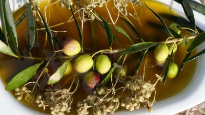 Ayvalık’ta zeytin sezonu tüm hızıyla devam ederken, bölgenin şifa deposu