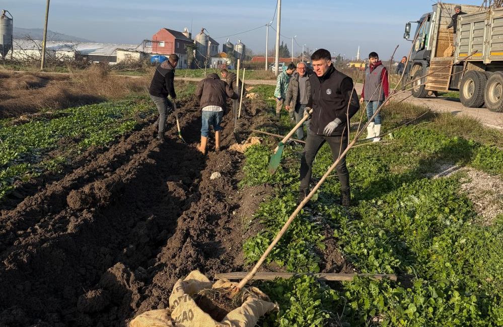 Bandırma’nın 55’inci kırsal mahallesinde 350 ağaç toprakla buluştu Bandırma’ya 2021 yılında bağlanarak kentin 55’inci kırsal mahallesi olan Karaçalılık’ta,
