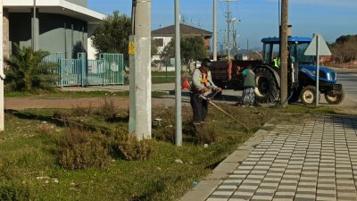 Ayvalık Belediyesi Park ve Bahçeler Müdürlüğü ekipleri, kentin dört bir