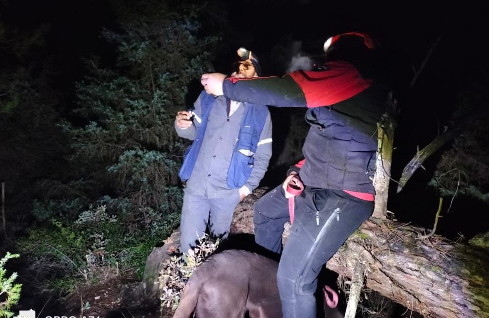 Mantar aramak için gittiği ormanda kayboldu Balya’da ormana mantar toplamak için giden 77 yaşındaki sağır ve