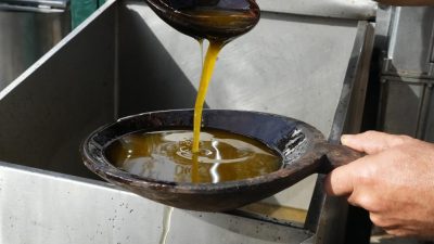 Ayvalık’ta Erdinç Tügen, dede yadigarı taş baskı yöntemiyle zeytinyağını en