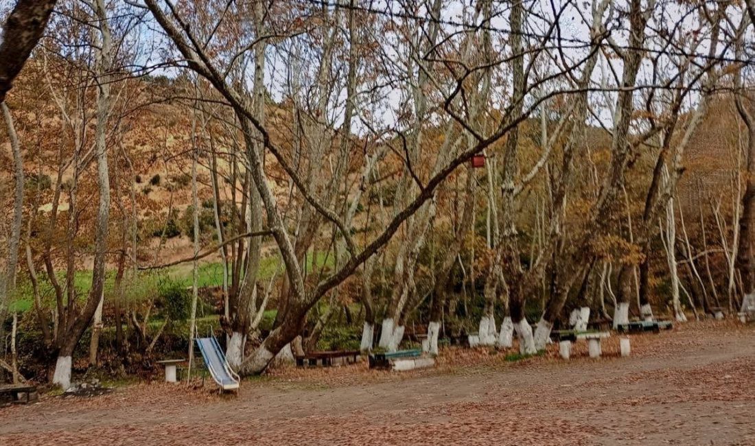 Susurluk’ta kent genelinde temizlik ve bakım hamlesi Park ve Bahçeler ile Temizlik İşleri Müdürlüğü ekipleri, şehrin çeşitli