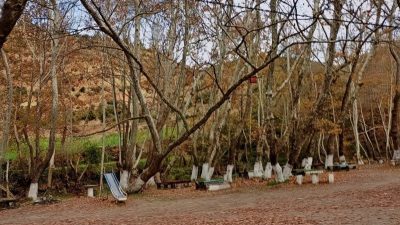 Park ve Bahçeler ile Temizlik İşleri Müdürlüğü ekipleri, şehrin çeşitli