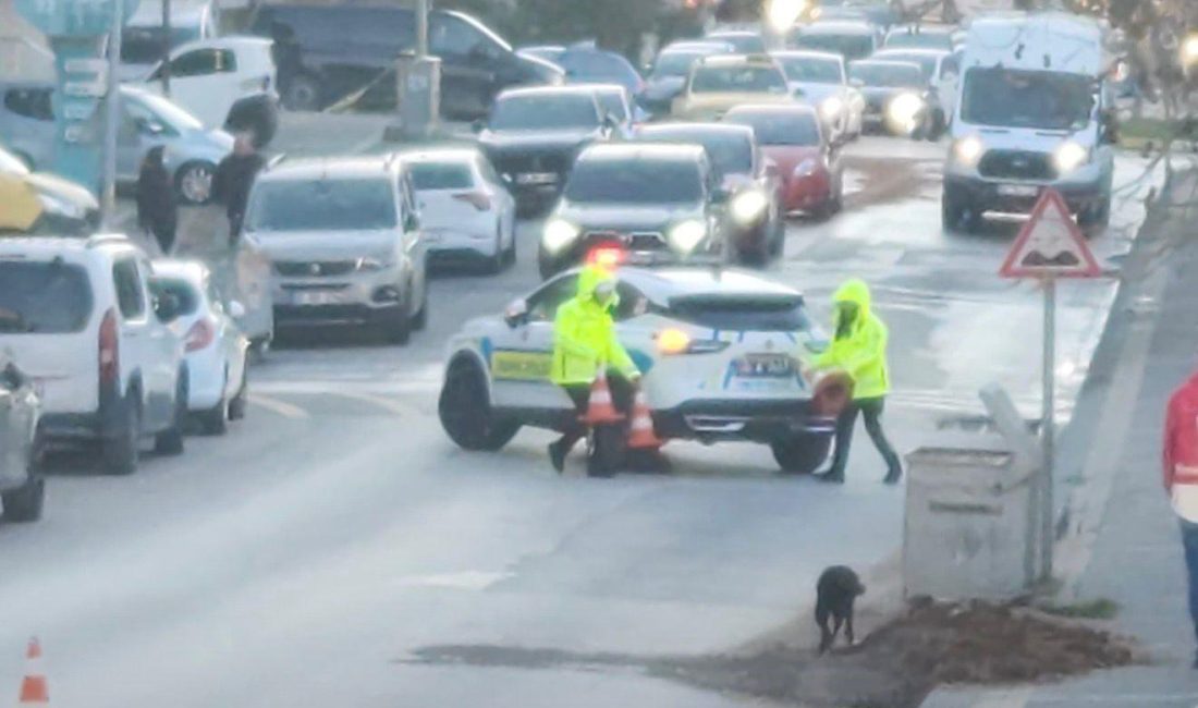 Bandırma’da dehşet, hafriyat kamyonu kadını 10 metre sürükledi Bandırma ‘da meydana gelen trafik kazasında hafriyat kamyonunun çarptığı kadın