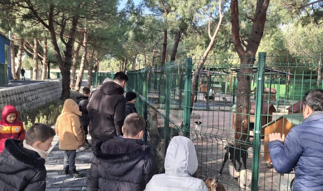 Bandırmalı çocuklara kültürel gezi Bandırma Hicri Ercili Çocuk Evleri Sitesi’ndeki çocuklar, Bursa’da tarihi mekanlar,