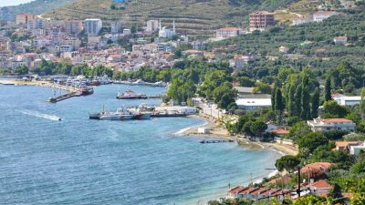 Marmara ilçesinde veteriner hekimler tarafından yürütülen aşılama çalışmaları sırasında Saraylar