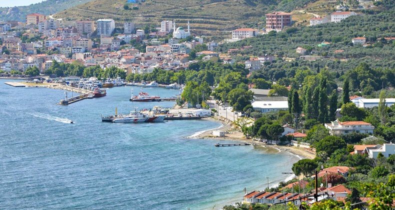 Marmara’da şap hastalığı alarmı Marmara ilçesinde veteriner hekimler tarafından yürütülen aşılama çalışmaları sırasında Saraylar