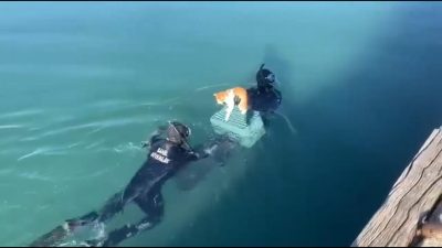 Balıkesir’in Edremit ilçesinde, denizin kenarındaki iskelenin altında mahsur kalan kedi,