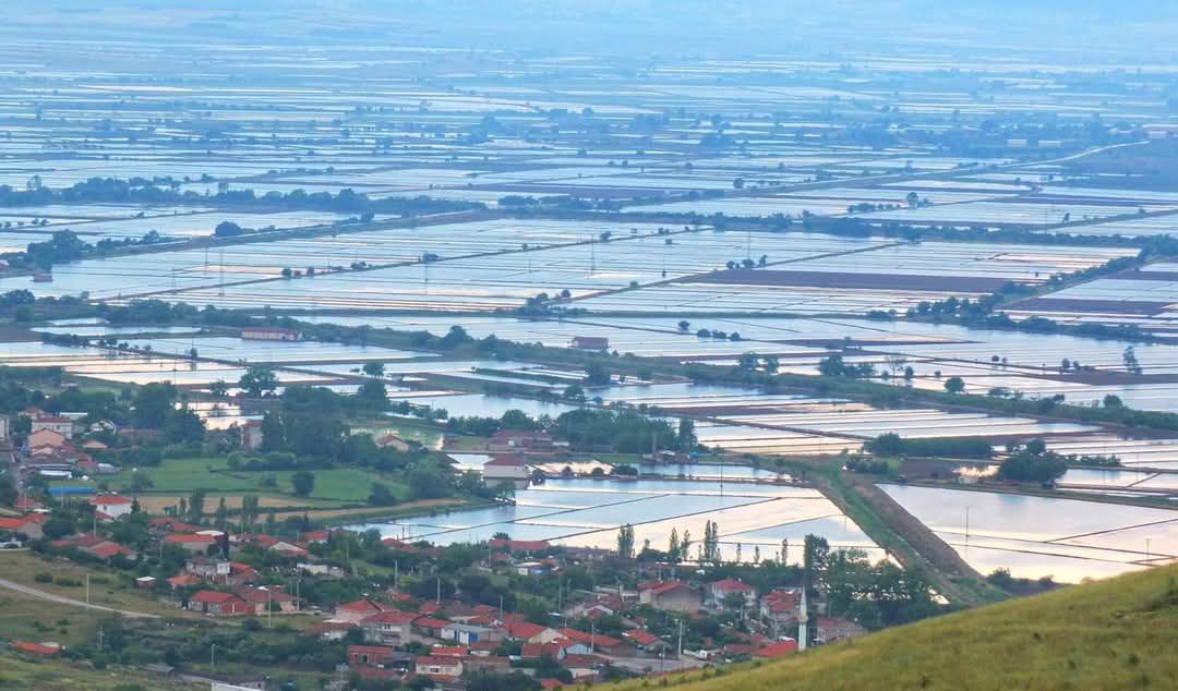 Balıkesir’de çeltik üretiminde 2026 sezonu kuralları belirlendi Balıkesir Valiliği koordinasyonunda yapılan toplantıda, çeltik üretimine ilişkin 2026 sezonu