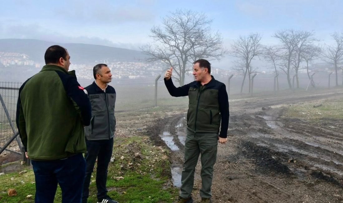 Alaçam, Dursunbey ve Sındırgı’ya atanan Orman Şefleri görevlerine başladı Balıkesir Orman Bölge Müdürlüğü’nde refiklik eğitimlerini tamamlayan Orman İşletme Şefleri,