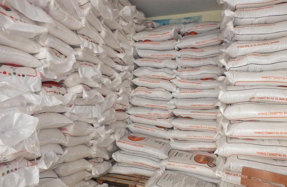 Türkiye’nin önemli zeytin üretim merkezlerinden Balıkesir’in Burhaniye ilçesinde, son yağışlar