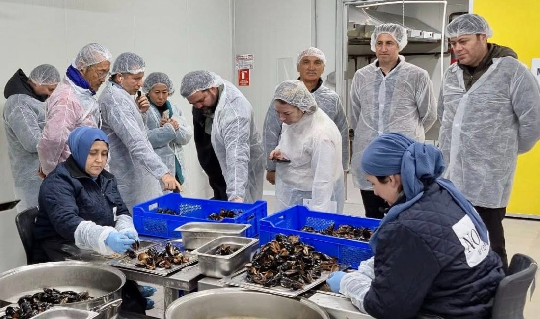 Balıkesir’in su ürünleri gücü Erdek’te masaya yatırıldı JICA ve TİKA iş birliğiyle yürütülen eğitim programı kapsamında Japon