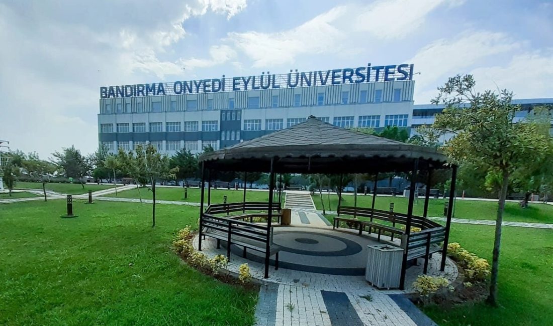 Milli Yetkinlik Hamlesi kapsamında yürütülen Savunma Sanayii 101, 102, 401