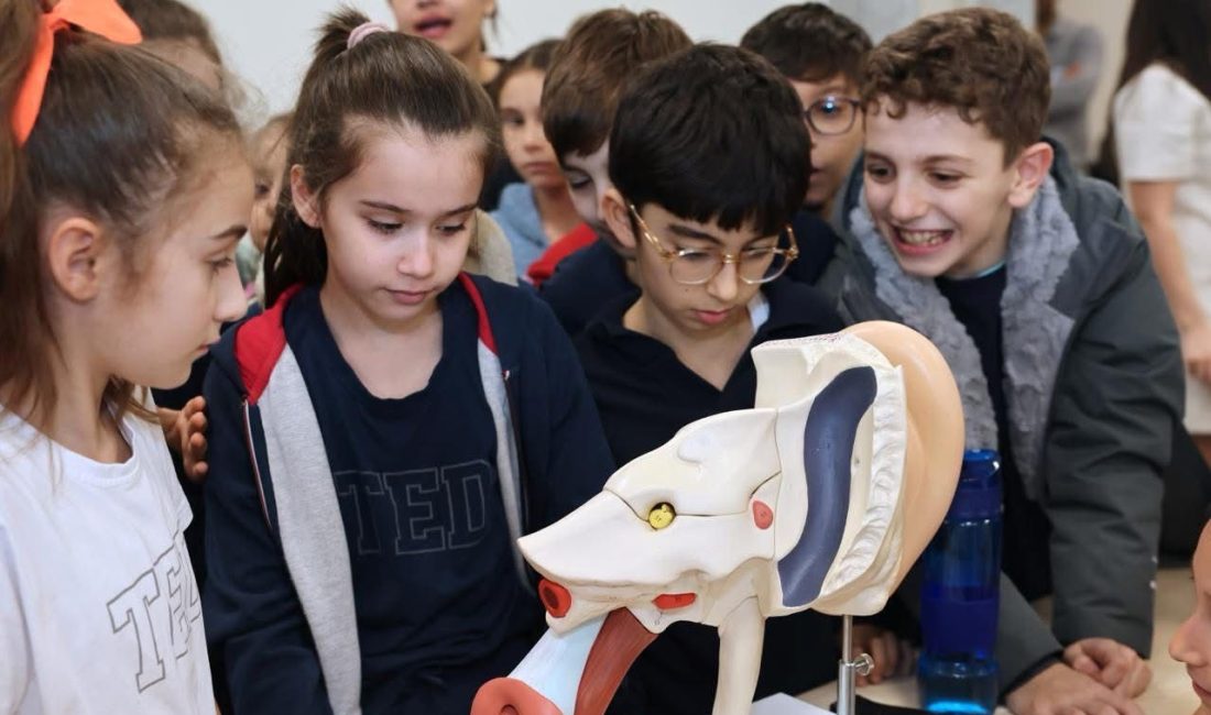 TED’li Öğrenciler BANÜ Tıp Fakültesi Laboratuvarlarını Gezdi Bandırma TED Koleji öğrencilerinin BANÜ Tıp Fakültesi’ne gerçekleştirdiği ziyarette meslek