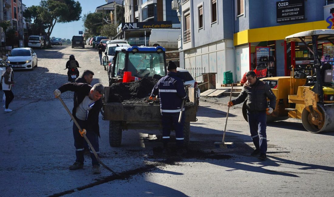 Ayvalık Belediyesi Fen İşleri Müdürlüğü ekipleri, kentin farklı noktalarında bakım