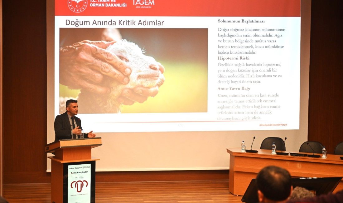 Koyunculuk Araştırma Enstitüsü ev sahipliğinde üreticiler bir araya geldi Bandırma Koyunculuk Araştırma Enstitüsü’nde düzenlenen toplantıda, küçükbaş hayvancılığın geleceğine yönelik