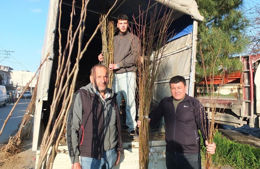 Burhaniye’de meyvecilik gelişiyor Burhaniye’de, pazarda satılan sertifikalı meyve fidanları ilgi gördü. Fidanların yöre