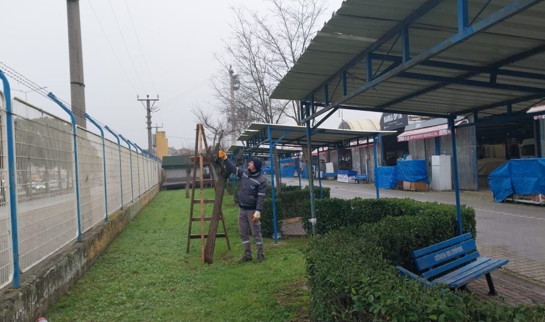 Gönen’de yağmur suyu hattı, parke taş onarımı, çevre düzeni ve