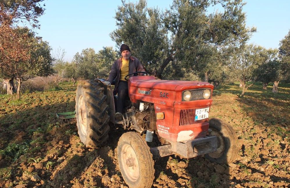 Balıkesir’de zeytinliklerde sürüm başladı Türkiye’nin önemli zeytin üretim merkezlerinden Balıkesir’in Burhaniye ilçesinde, zeytinliklerde budama
