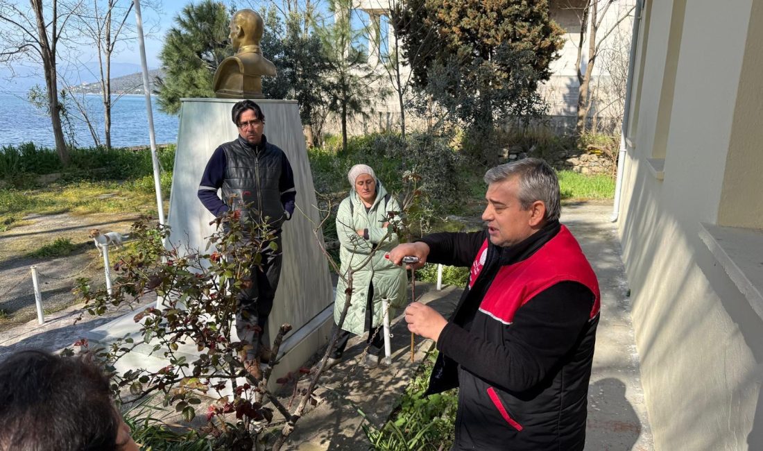 Paşalimanı’nda üreticiye budama eğitimi Erdek Paşalimanı Adası’nda düzenlenen eğitimde, zeytin yetiştiriciliği ve doğru budama