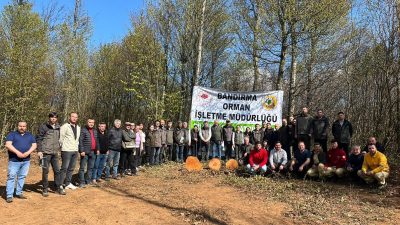 Bandırma’da düzenlenen silvikültür eğitiminde genç orman mühendisleri, kayın ormanlarında uygulamalı