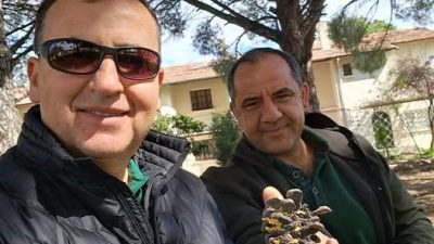 Kazdağları Dereli Tarımsal Kalkınma Kooperatifi Başkanı İlhan Deveci, Türkiye’nin çam