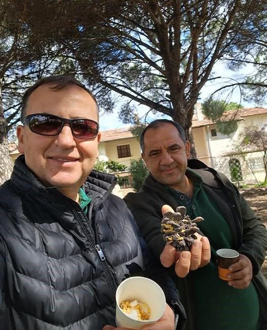 Türkiye çam balı üretiminde dünya birincisi Kazdağları Dereli Tarımsal Kalkınma Kooperatifi Başkanı İlhan Deveci, Türkiye’nin çam