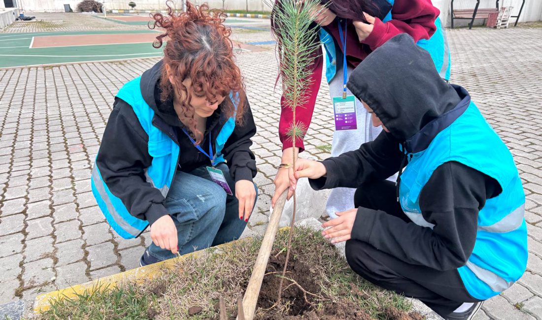 Bandırma Kız Yurdu Öğrencileri fidan dikti KYK Bandırma Kız Yurdu öğrencileri, düzenledikleri etkinlikle yurt bahçesini yeşillendirdi.