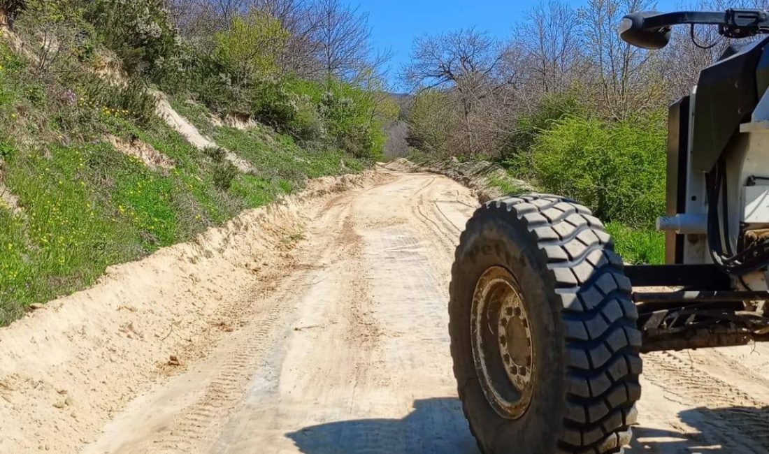 Balıkesir Orman Bölge Müdürlüğü, orman yangınlarına erken müdahale ve ormanların