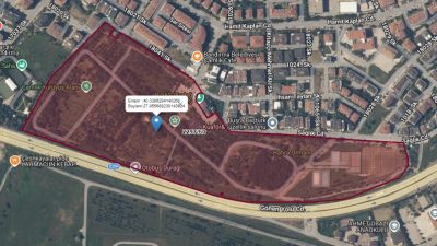 Özelleştirme kapsamına alınan General Balcı Çamlığıyla ilgili Bandırmalıları üzecek bir