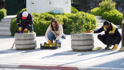 Park ve Bahçeler Müdürlüğü çiçek ekimi ve çim biçme çalışmaları