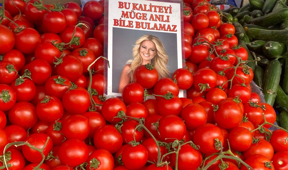 Bandırma Pazarı’nda Yaz Ürünleri Tezgâhlara Çıktı, Fiyatlar Arttı Bandırma Pazartesi Pazarı’nda yazlık ürünlerin artmasıyla birlikte fiyatlar yükseldi. Vatandaşlar