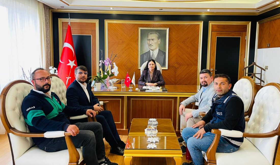 Marmara Kaymakamı Rumeysa Görentaş, UEDAŞ Bandırma Bölge Müdürü ve beraberindeki