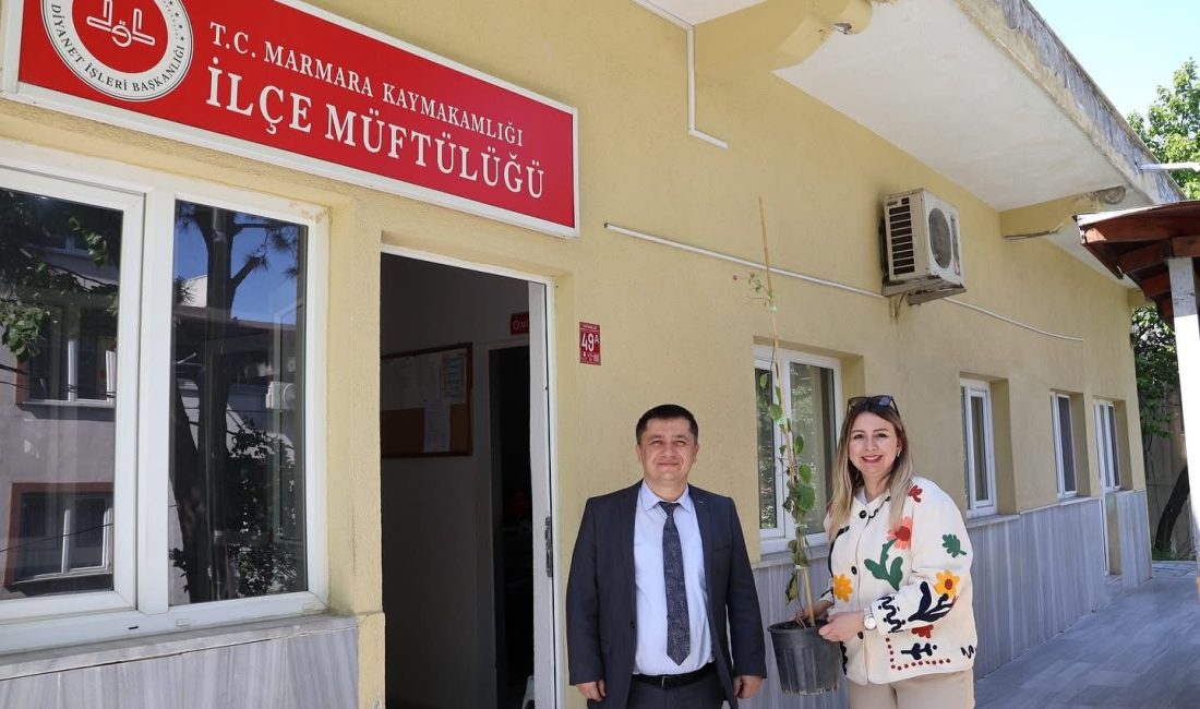 Marmara Adalar Begonvillerle Süslenecek Marmara Adalar Belediyesi, ilçe genelinde daha renkli bir görünüm oluşturmak