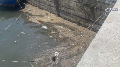 Bandırma L İskele çevresinde deniz yüzeyinde müsilaj tabakası gözlemlendi. Bölgede