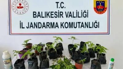Erdek ilçesinde jandarma ekiplerince düzenlenen operasyonda yasa dışı ekildiği belirlenen