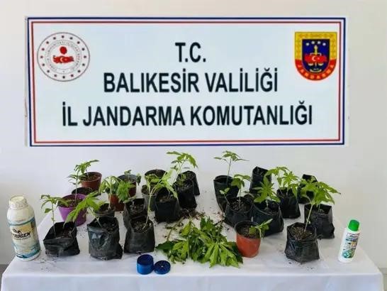 Erdek ilçesinde jandarma ekiplerince düzenlenen operasyonda yasa dışı ekildiği belirlenen