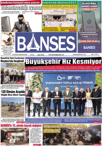 Yayın