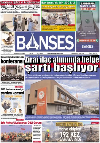 Yayın