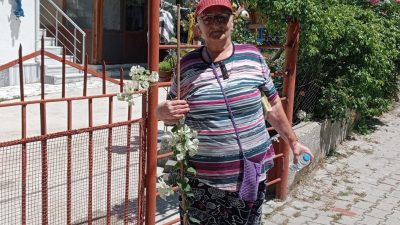 Marmara Adalar Belediyesi ekipleri, Saraylar, Asmalı, Topağaç ve Çınarlı mahallelerinde
