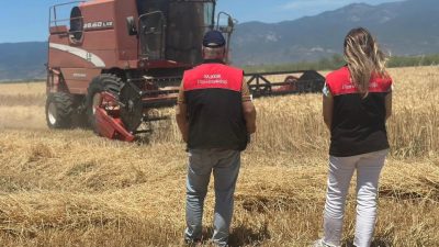 Balıkesir’de buğday ve arpa hasadının başlamasıyla birlikte İl Tarım ve