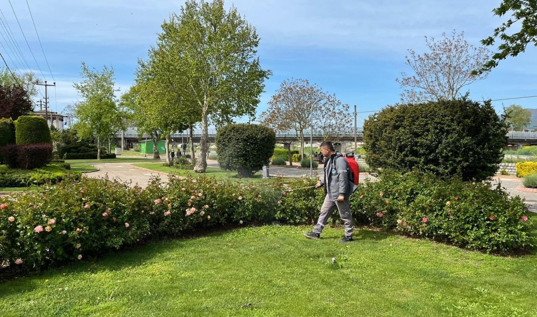 Gönen Belediyesi, ilçe genelinde altyapı, çevre düzenlemesi, yol bakım ve