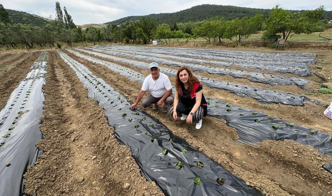 Balıkesir’de tarımsal üretimi çeşitlendirmek ve üreticilere alternatif gelir kaynakları oluşturmak