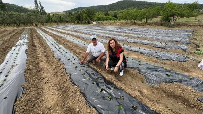 Balıkesir’de tarımsal üretimi çeşitlendirmek ve üreticilere alternatif gelir kaynakları oluşturmak