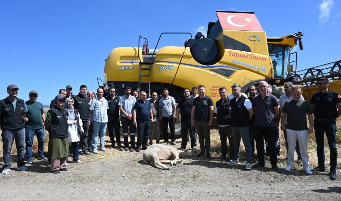 Bandırma Koyunculuk Araştırma Enstitüsü Müdürlüğünün bu yıl 5 bin 750