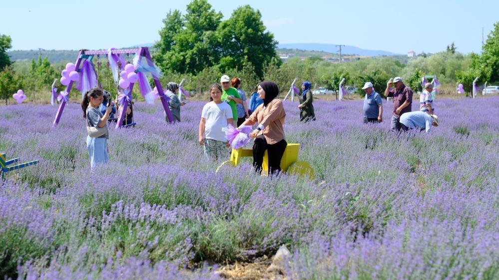 Altıeylül Belediyesi tarafından geleneksel hale getirilen Lavanta Günleri, bu yıl