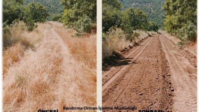 Balıkesir Orman Bölge Müdürlüğü tarafından İvrindi ve Bandırma’da yangın emniyet